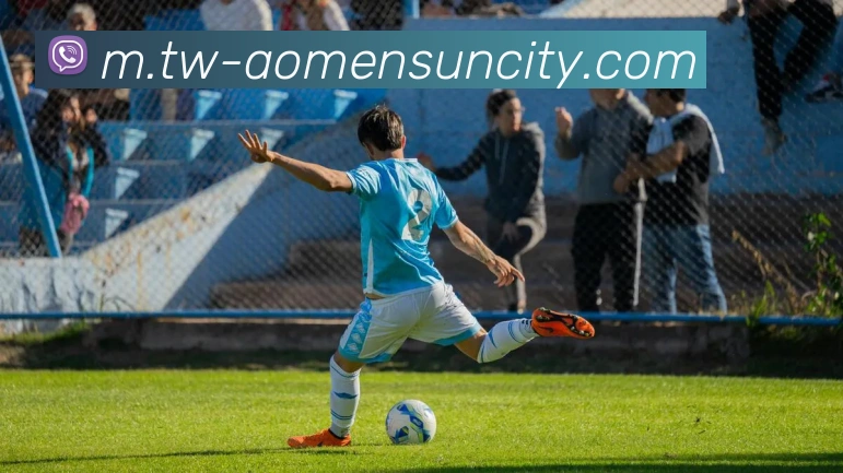 太阳城网站APP 封面图